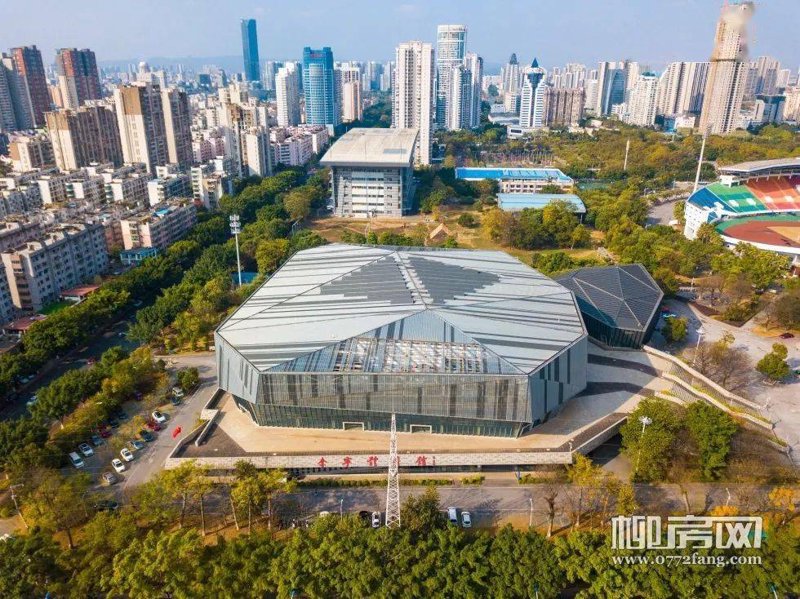 柳州增肌攻略：新手也能快速上手