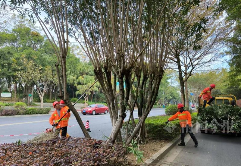 柳州增肌，健身界的“小秘密”